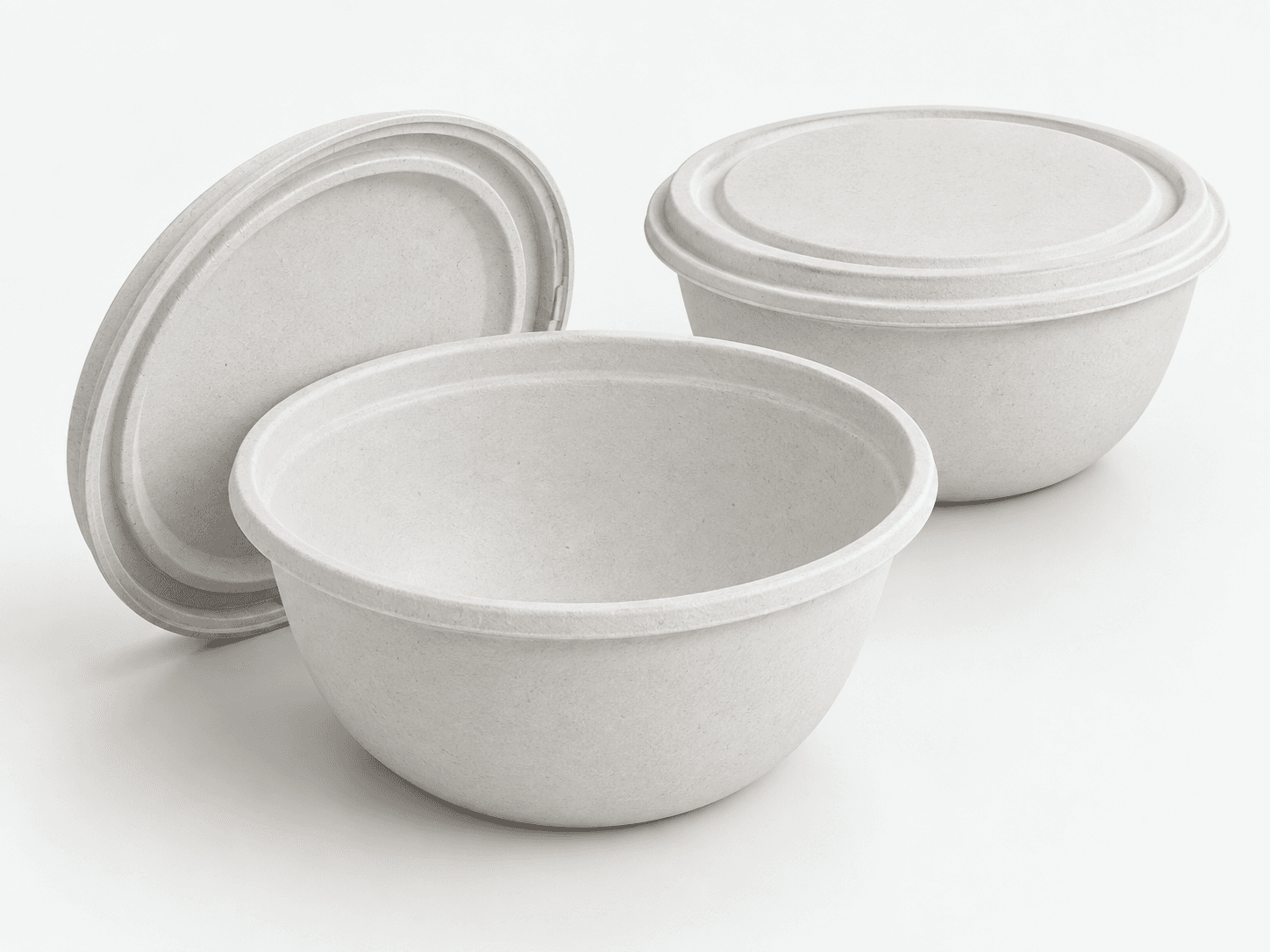 Bowls with Secure Lid